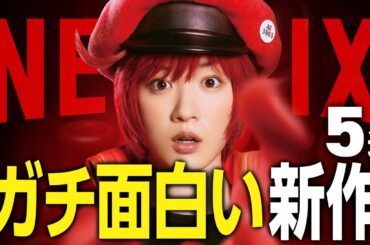 【Netflixおすすめ】面白すぎる新作映画・ドラマ5選【2025年6月】