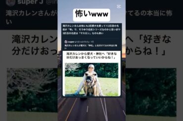 いきなりマカロンwww #shortvideo #おもしろ #滝沢カレン #犬 #ペット