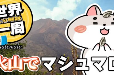 【一分解説 × 世界一周】グアテマラ アンティグア 火山ツアーなど！🇬🇹 写真で振り返るハムスターの世界一周 Ep76