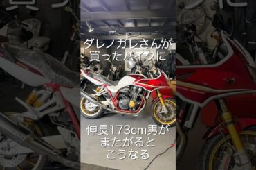 ダレノガレさんより173cmの私の方が足つかないですCB1300SF,SB #shorts #youtubeshorts #バイク