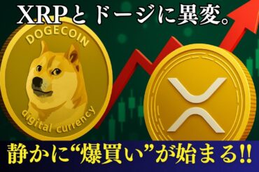【暗号資産速報】XRPとドージコインに“爆買いの兆候” 何が起きているのか？