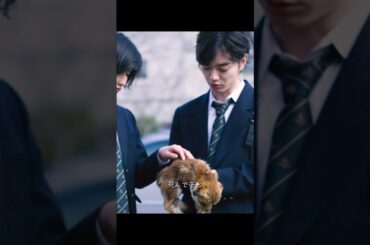 死んだ犬は肉の塊です #寄生獣 #そめたに しょうた #橋本愛 #映画