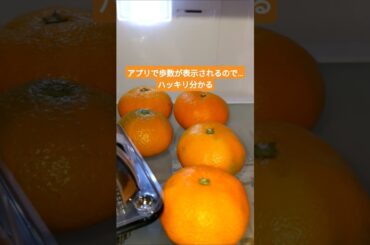 森高千里さんの渡良瀬橋を聞きながら冷蔵庫の中身を見る 2025年7月1日