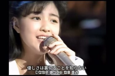 菊池桃子 nile in blue LIVE (한글자막)