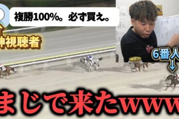 【激熱直線!?】大井に2万円勝負…視聴者の神予想に乗った結果まさかの的中か……！？【生配信切り抜き】