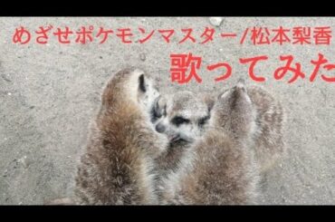 めざせポケモンマスター/松本梨香 カラオケで歌ってみた