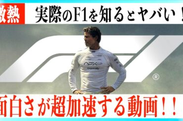 【激アツ】映画F1がもっと熱くなる超解説動画！！【警告後ネタバレあり】