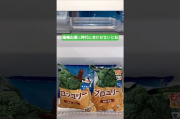 森高千里さんの私の夏を聞きながら冷蔵庫の中身を見る 2025年7月3日