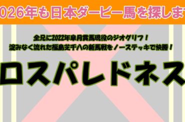 2026年も日本ダービー馬を探します #4　全兄は2022年皐月賞馬ジオグリフ！淀みなく流れた福島芝千八の新馬戦をノーステッキで快勝したロスパレドネスを注目馬として取り上げました。