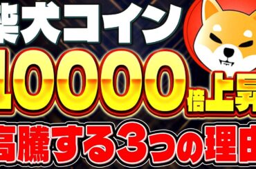 【柴犬コイン(SHIB)】10万円で億確定!?ビットコインやリップルよりもシバイヌコインが今後稼げる理由を徹底解説!!【仮想通貨】【最新情報】
