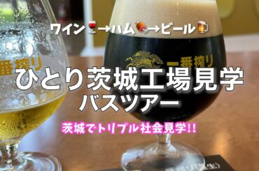 【ひとりバスツアー🚌】茨城工場見学巡り！ワイン🍷→ハム🍖→ビール🍻色々巡れて楽しい♪んだけどなんかちょっといつもと違うバスツアーだった笑