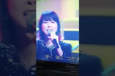 17才　森高千里