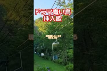 青い鳥 夏川結衣 #piano #music #soundtrack #京都  #automobile #リフト #kyoto #railway