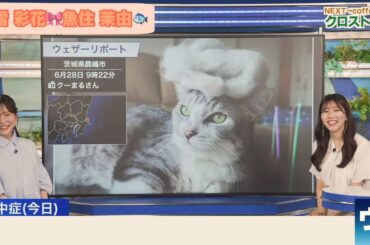 【松雪彩花×魚住茉由】クロストーク【ウェザーニュース】