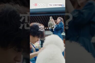 『#初恋DOGs』将軍とサクラが恋に落ちた瞬間🐶#清原果耶 #成田凌