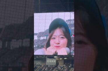 これが本物の“推しパワー”！鈴木愛理、神ステージ炸裂🔥【試合前ミニライブ】　#shorts #鈴木愛理