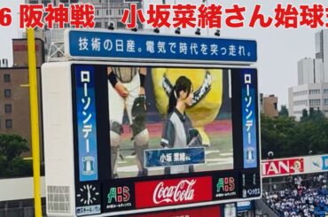 【現地フル】始球式/小坂菜緒さん/日向坂ちゃんねる/三塁側内野立ち見/横浜スタジアム/ベイスターズ