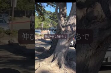 【星読み】その“ワクワク”、未来へのサイン　　　7月7日（月） 今日の星読み