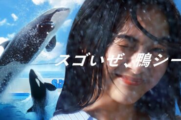 【鴨川シーワールド】新PV 「スゴいぜ、鴨シー。」55周年編30秒