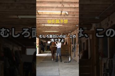 桜花賞予想 #競馬 #中央競馬予想 #ハイブリッド競馬塾