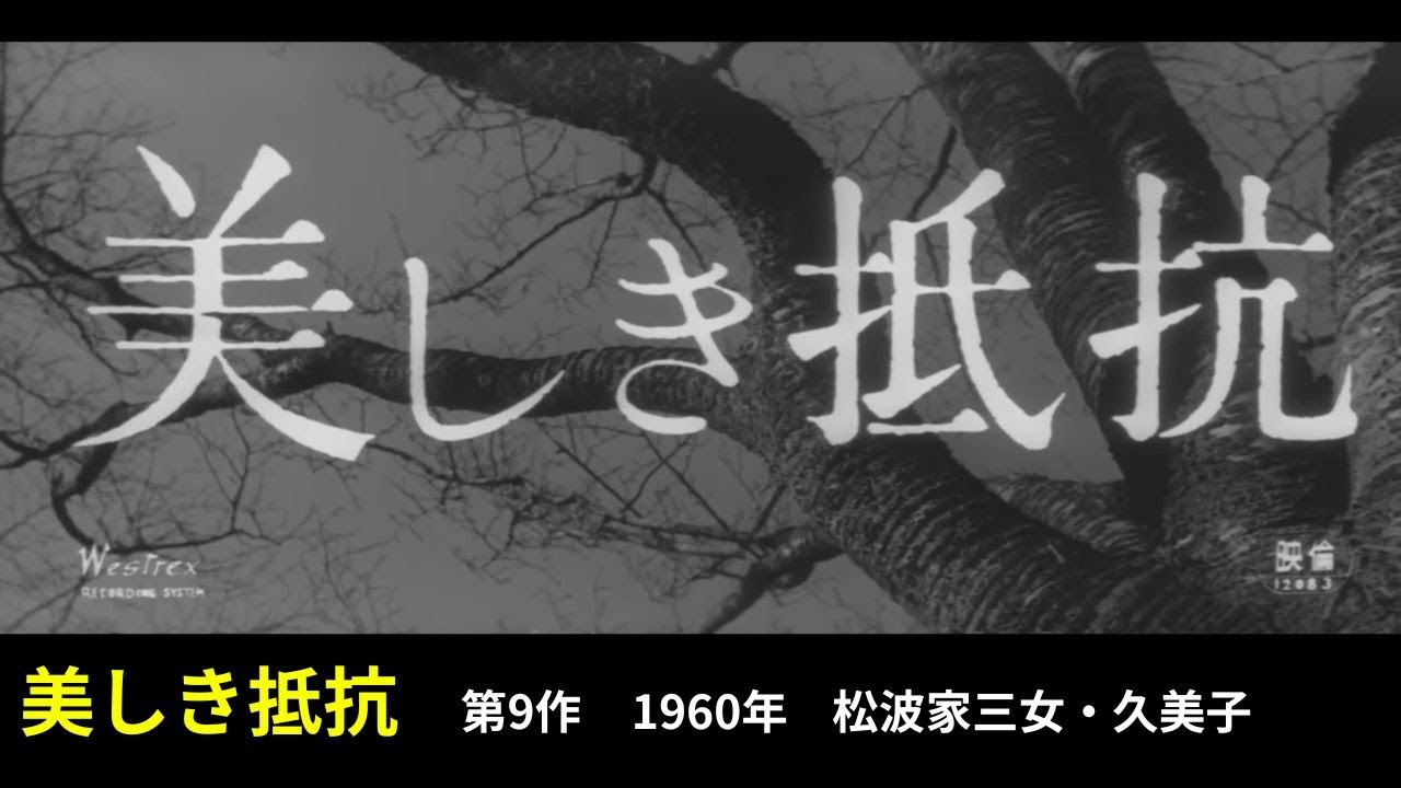 美しき抵抗
