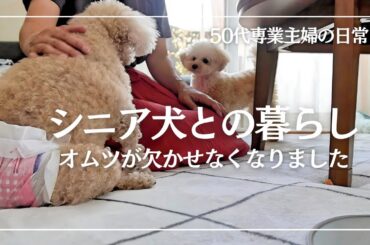 暮らしのvlog / シニア犬の老いに寄り添う / 主婦の朝昼ごはん / シフォンケーキを焼く / 犬のいる暮らし / 50代専業主婦の日常