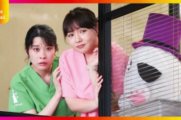 【衝撃】清原果耶×成田凌の新ドラマ『初恋DOGs』初回に韓国アイドルVIXX・Nがサプライズ登場！視聴者大興奮「まさかのキャスティング」「贅沢すぎる」