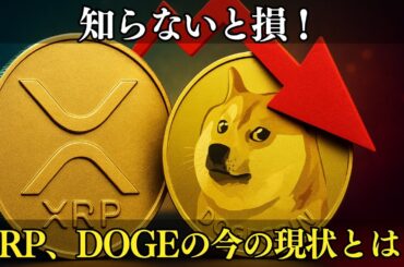 知らないと損する！XRPとDOGE、今このタイミングが重要な理由【最新相場分析】