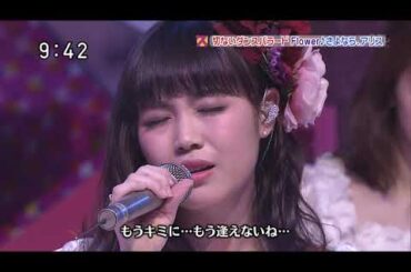 (2015 LIVE) Flower / さよなら、アリス