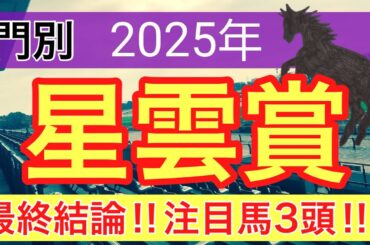 【星雲賞2025】蓮の地方競馬予想(最終結論)