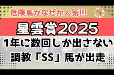 星雲賞・スパーキングサマーチャレンジ2025予想【門別競馬】全頭診断＋調教診断＋買い目