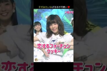 【子犬みたいなぱるる可愛い】恋するフォーチュンクッキー 【ぱるる部分のみ】 #島崎遥香 #ぱるる #AKB48 #指原莉乃 #柏木由紀 #渡辺麻友 #入山杏奈 #松井玲奈 #小嶋陽菜 #Shorts