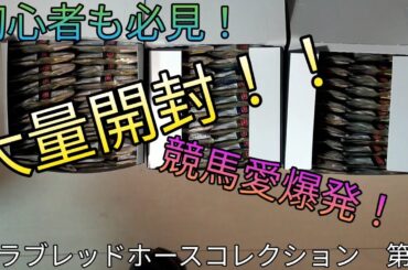 【初心者必見】コンプリートを狙え！サラブレッドホースコレクション第2Rを大量開封！競馬愛が爆発！？
