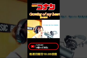 『Growing of my heart』倉木麻衣【歌ってみた】名探偵コナン主題歌 cover たがわゆみ #歌ってみた #cover #カラオケ #アニソン