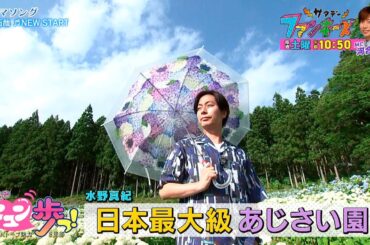 【めんこいテレビ】「サタデーファンキーズ」2025/7/12(土)午前10:50放送