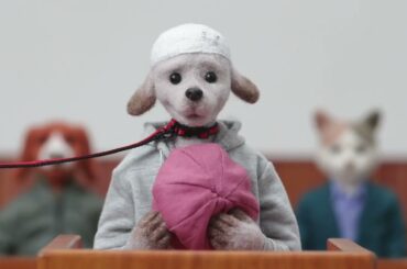 「#飼い主に傷つけられた動物を守れる社会に」プロジェクト 活動のご報告とお願い