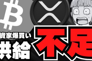 【初心者】なぜビットコインが上昇？仮想通貨・リップルはどうなる？【XRP】