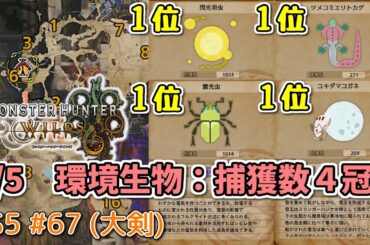 【MH WILDS】#67  環境生物：捕獲数４冠！(レコードランキング/閃光羽虫/雷光虫/ツメコミエリトカゲ/ユキダマコガネ)（ゆっくり実況）