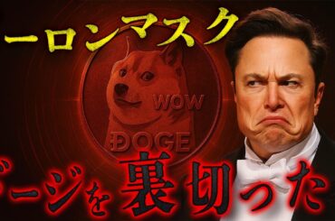 X決済銘柄はドージではなく、リップルが適している。