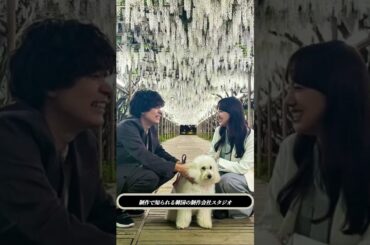🐶💕【癒し爆発】清原果耶×成田凌、愛犬と笑顔のスリーショットが可愛すぎる！『初恋DOGs』撮影裏側✨