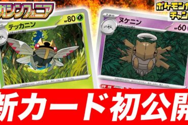 【初公開】サイドをとられない特性！？新登場のテッカニンとヌケニンを解説！【メガブレイブ/メガシンフォニア/ポケカ/ポケモンカード】