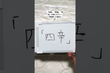 #ウワサのあの子 #紫今 #滝沢カレンの秘密基地#大喜利 #かずpop #shorts