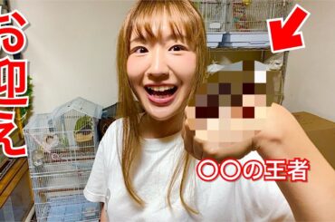 新しい家族が我が家にやってきた。沼った女の末路
