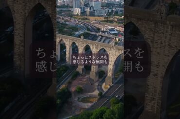 【星読み】焦らなくていいよ　ゆっくり　　　7月14日（月） 今日の星読み