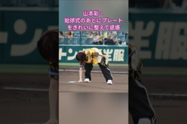山本彩、始球式のあとにプレートをきれいに整えて退場…！心遣いが素敵すぎる#阪神タイガース #山本彩 #野球