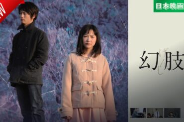「日本映画フル」幻肢 ✔️📀📽️サスペンスドラマ最新2025 FULL HD