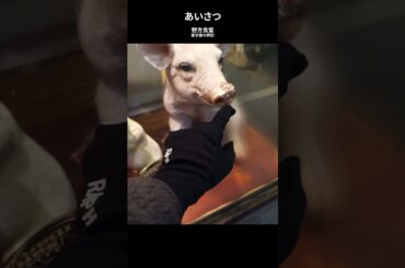 あいさつ #竹内結子