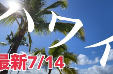 超速報ハワイ【7/14(月)】ワイケレ〜どこでもプライベートツアー