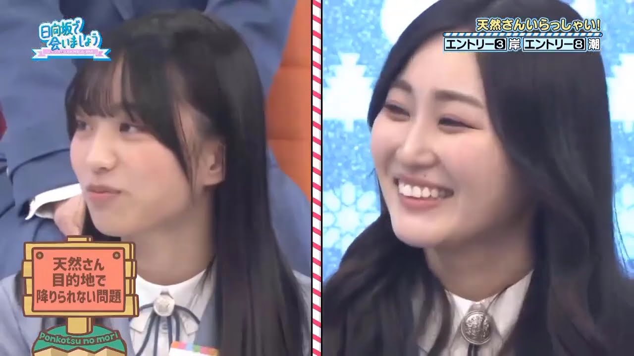 日向坂46日向坂で会いましょう 2025 🌷🌷🌷 あつまれぽんこつの森 天然さんいらっしゃい