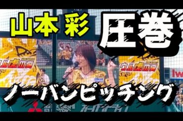 【山本彩】甲子園を大歓声にするノーバンピッチング
